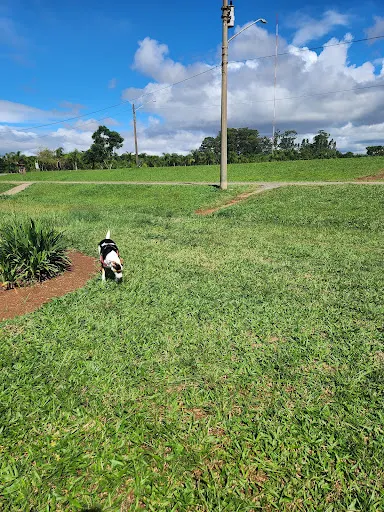 Foto 38 de Parque da Barragem de Guarapiranga