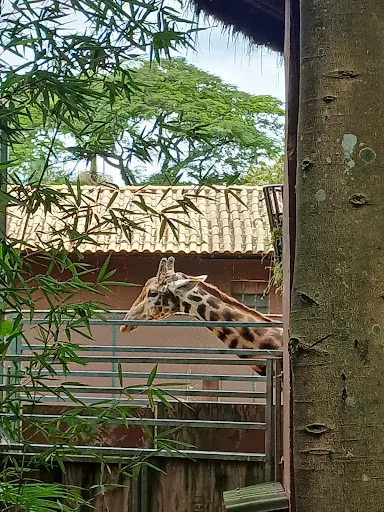 Foto 38 de Zoo São Paulo