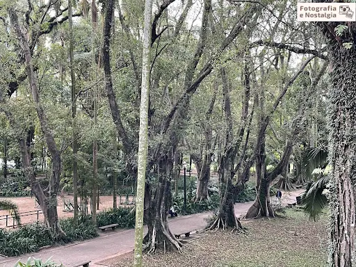 Foto 36 de Parque Jardim da Luz