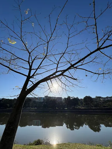 Foto 40 de Lago do Taboão