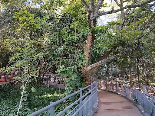 Foto 18 de Parque Augusta - Prefeito Bruno Covas