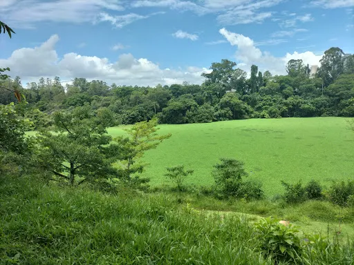 Foto 23 de Parque Tietê Ecológico Barueri