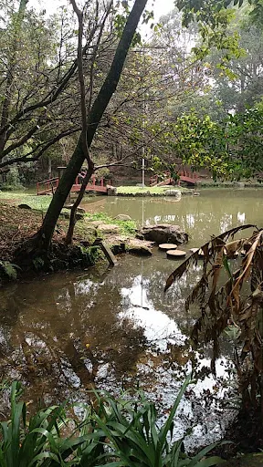 Foto 12 de Parque Takebe