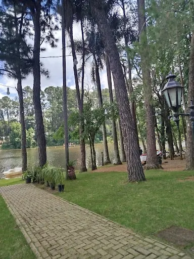 Foto 40 de Parque Van Gogh