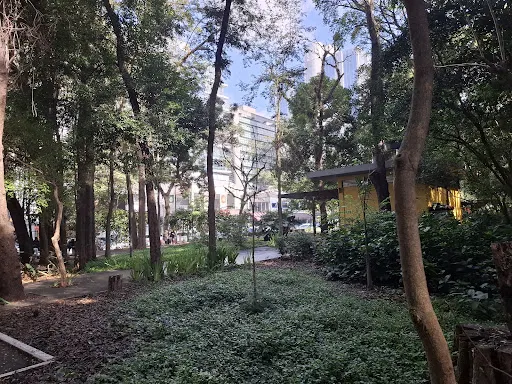 Foto 15 de Parque Prefeito Mário Covas