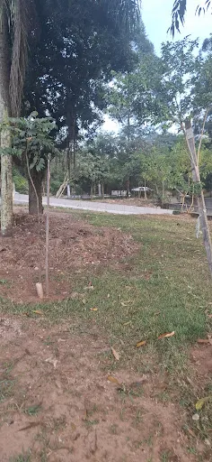 Foto 31 de Parque Ecológico Fernando Vitor de Araújo Ales (Pq. do Eldorado)