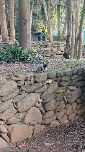 Foto 29 de Zoo São Paulo