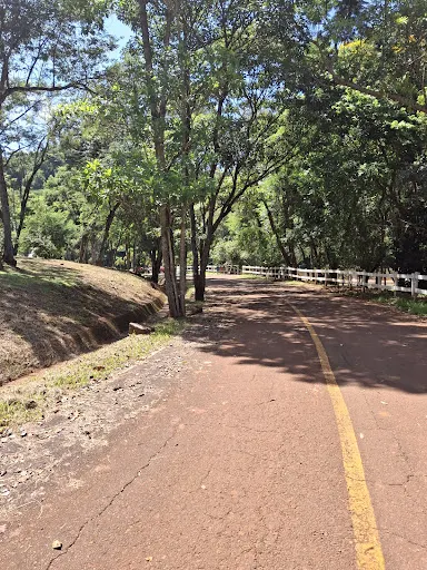Foto 16 de Cascata - Águas de Santa Bárbara