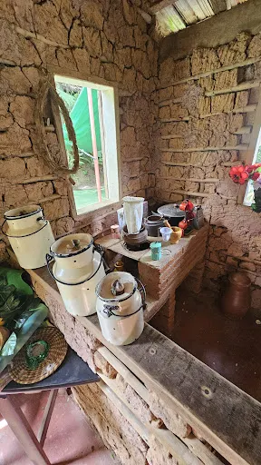 Foto 10 de Sitiolândia
