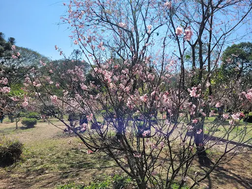 Foto 11 de Área de Proteção Ambiental Parque e Fazenda do Carmo