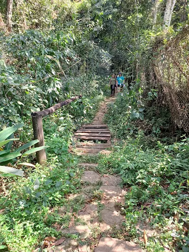 Foto 25 de Parque Estadual Cantareira - Núcleo Engordador