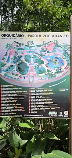 Foto 16 de Orquidário Municipal de Santos