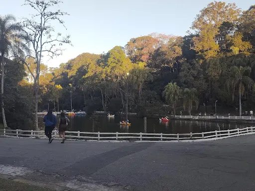 Foto 19 de Parque Estadual Alberto Löfgren - Horto Florestal