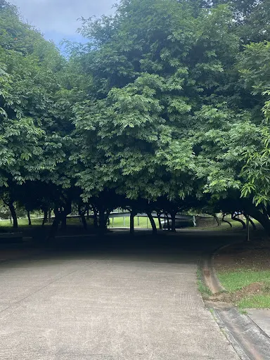 Foto 9 de Parque Estadual do Belém Manoel Pitta