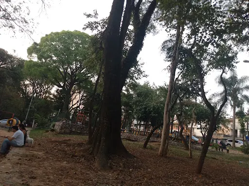 Foto 28 de Parque Domingos Luís