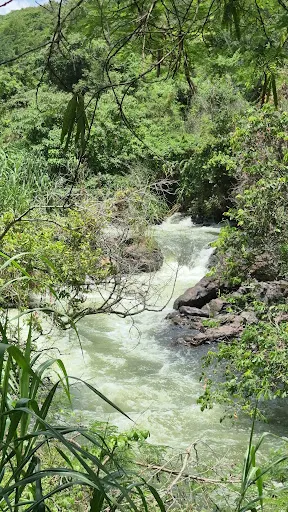 Foto 29 de Cachoeira da Chave