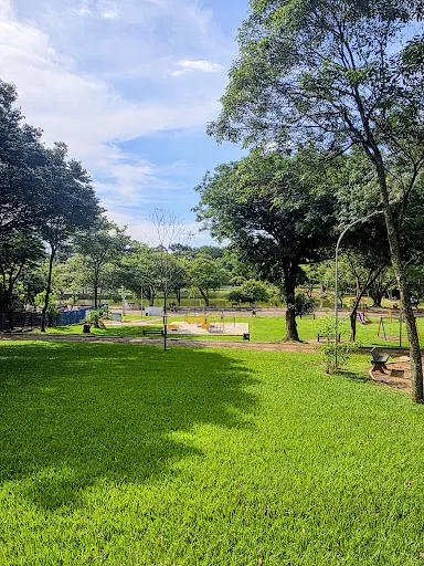 Foto 19 de Parque Zeca Malavazzi