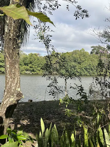 Foto 13 de Parque Ecológico Prof. Hermógenes de Freitas Leitão