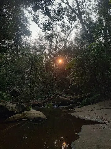 Foto 33 de Trilha Cachoeira da Graça
