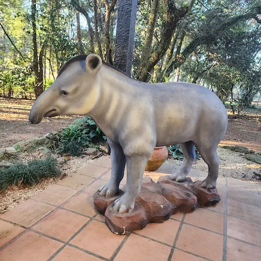 Foto 8 de Centro de Educação Ambiental - Parque Ecológico do Tietê