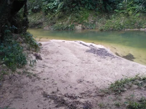Foto 6 de Ribeirão Dos Campos
