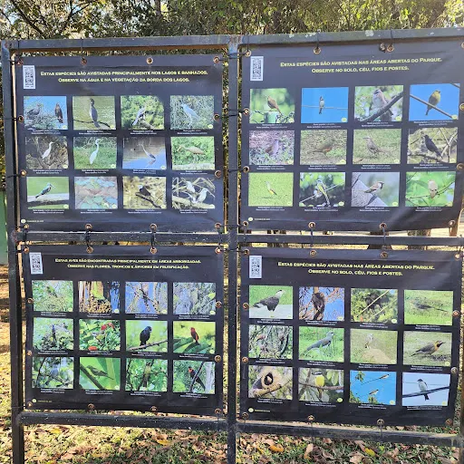 Foto 6 de Centro de Educação Ambiental - Parque Ecológico do Tietê