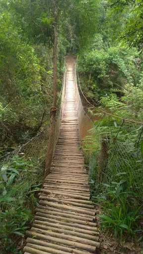 Foto 25 de SelvaSP - Parque De Aventura - Cachoeira Do Marsilac