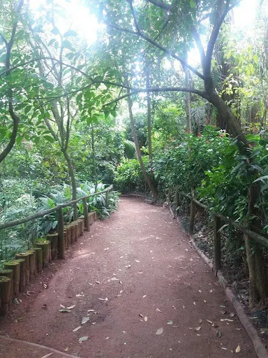 Foto 15 de Parque Severo Gomes