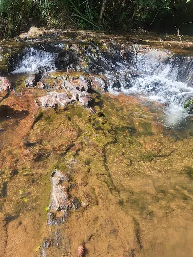 Foto 24 de Cachoeira do Palomar