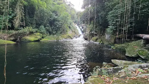Foto 16 de Cachoeira do Rio Guacá