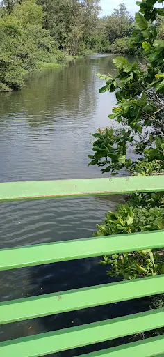 Foto 20 de Oca - Parque Ibirapuera