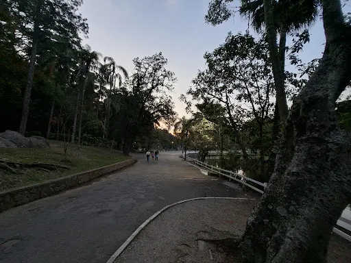 Foto 31 de Parque Horto Florestal - Portões 1 e 2