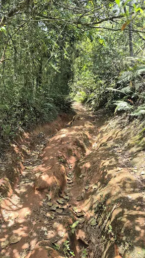 Foto 16 de Cachoeira do Vau Novo