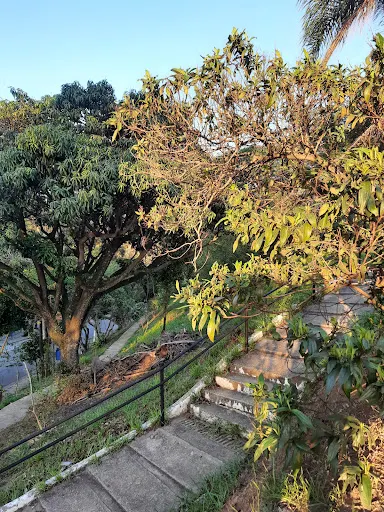 Foto 17 de ParCão Lapa - Praça Amadeu Decome