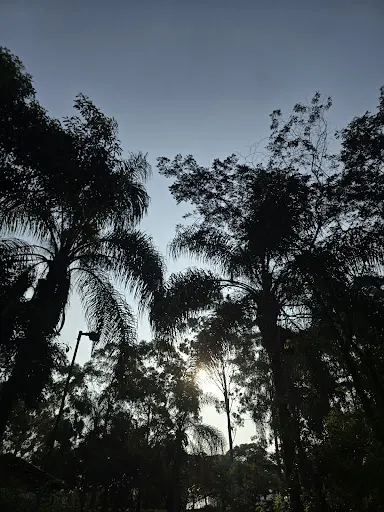 Foto 31 de Parque Ecológico Profª Lydia Natalizio Diogo - Vila Prudente