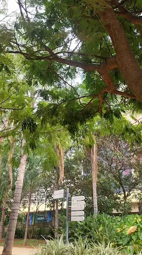 Foto 17 de Parque Augusta - Prefeito Bruno Covas
