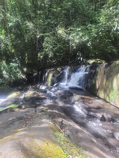 Foto 13 de Cachoeira do Palomar