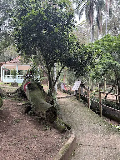 Foto 36 de Parque Ecológico Chico Mendes
