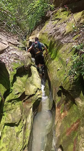 Foto 40 de Acesso à Gruta do Carrapicho