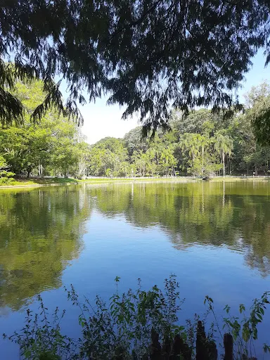 Foto 26 de Parque Horto Florestal - Portões 1 e 2