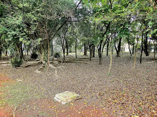 Foto 24 de Espaço Verde Chico Mendes