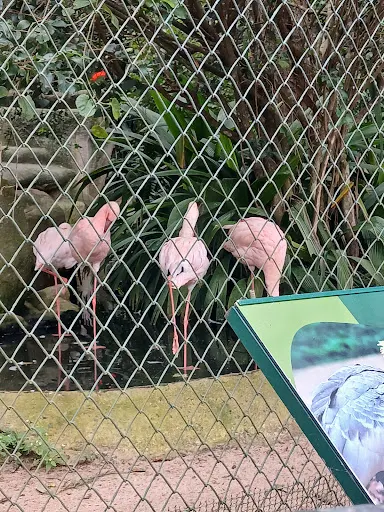 Foto 36 de Zoo São Paulo