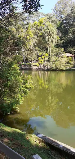 Foto 24 de Parque Horto Florestal - Portões 1 e 2