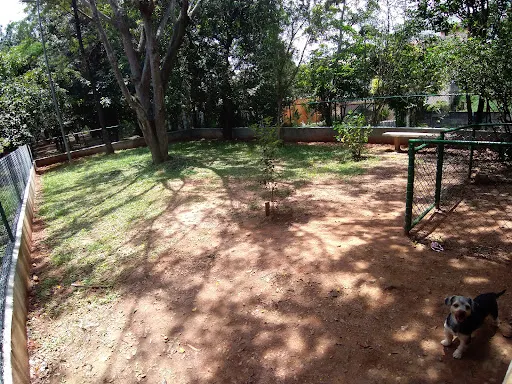 Foto 9 de ParCão Chácara Monte Alegre