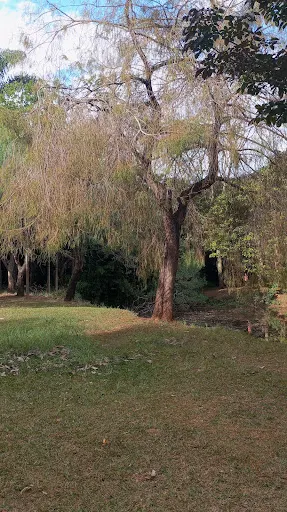 Foto 40 de Parque Ecológico Roberto Burle Marx (Parque das Águas)