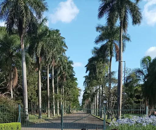 Foto 25 de Parque Estadual das Fontes do Ipiranga