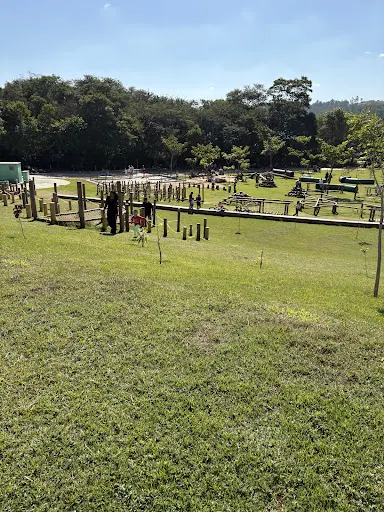 Foto 18 de Mundo das Crianças