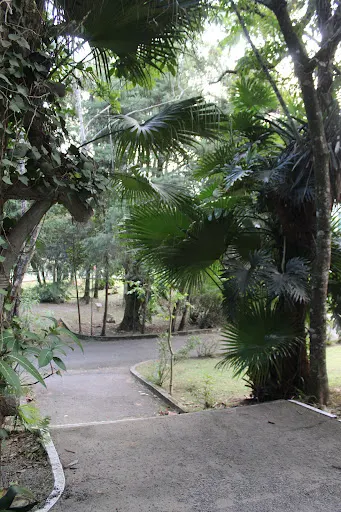 Foto 35 de Parque Horto Florestal - Portões 1 e 2