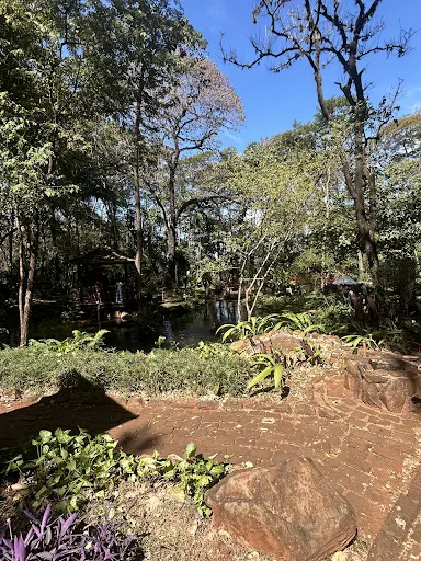 Foto 15 de Bosque Zoológico Municipal Fábio Barreto